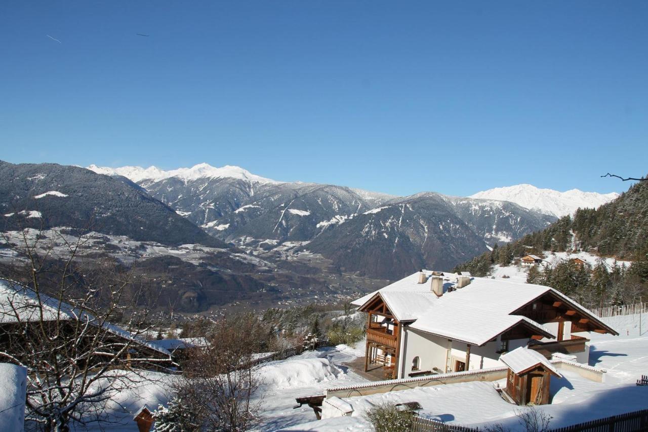 Eichernhof Apartment Marillenbluete Verano Esterno foto